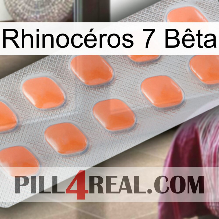 Rhinocéros 7 Bêta 26